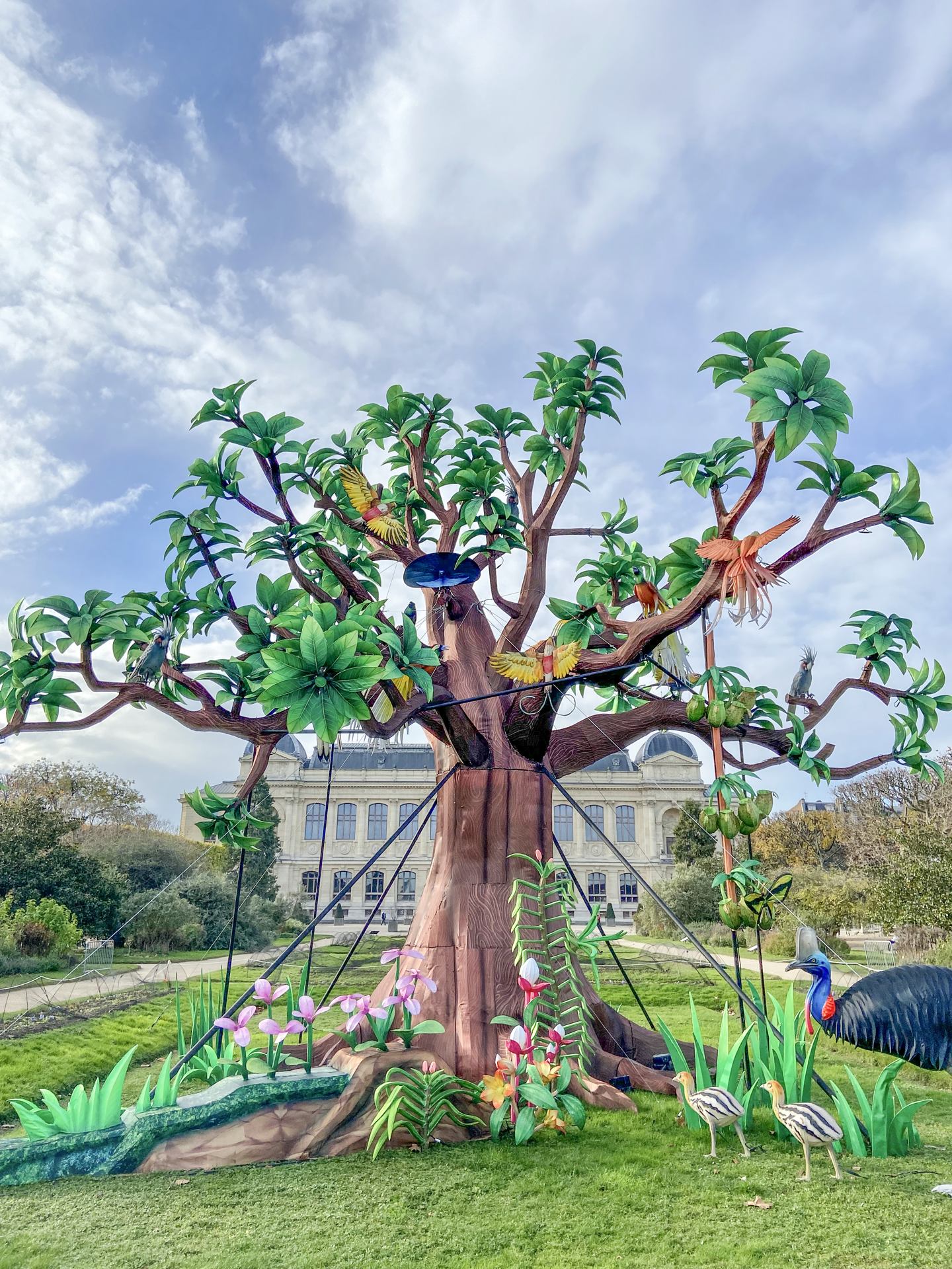Expo exotique au jardin des plantes