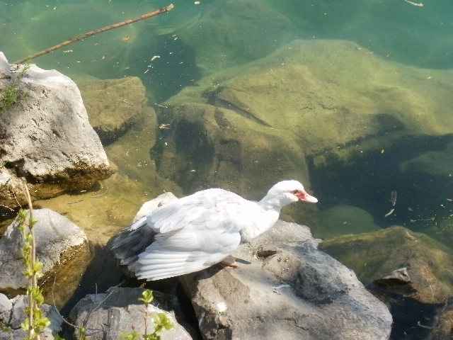 BALADE au bord de l eau