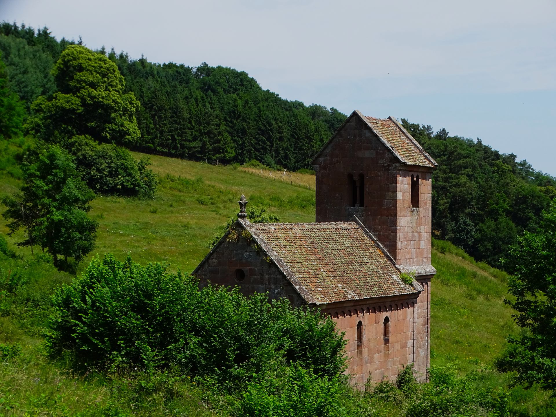 DSC08986.JPG