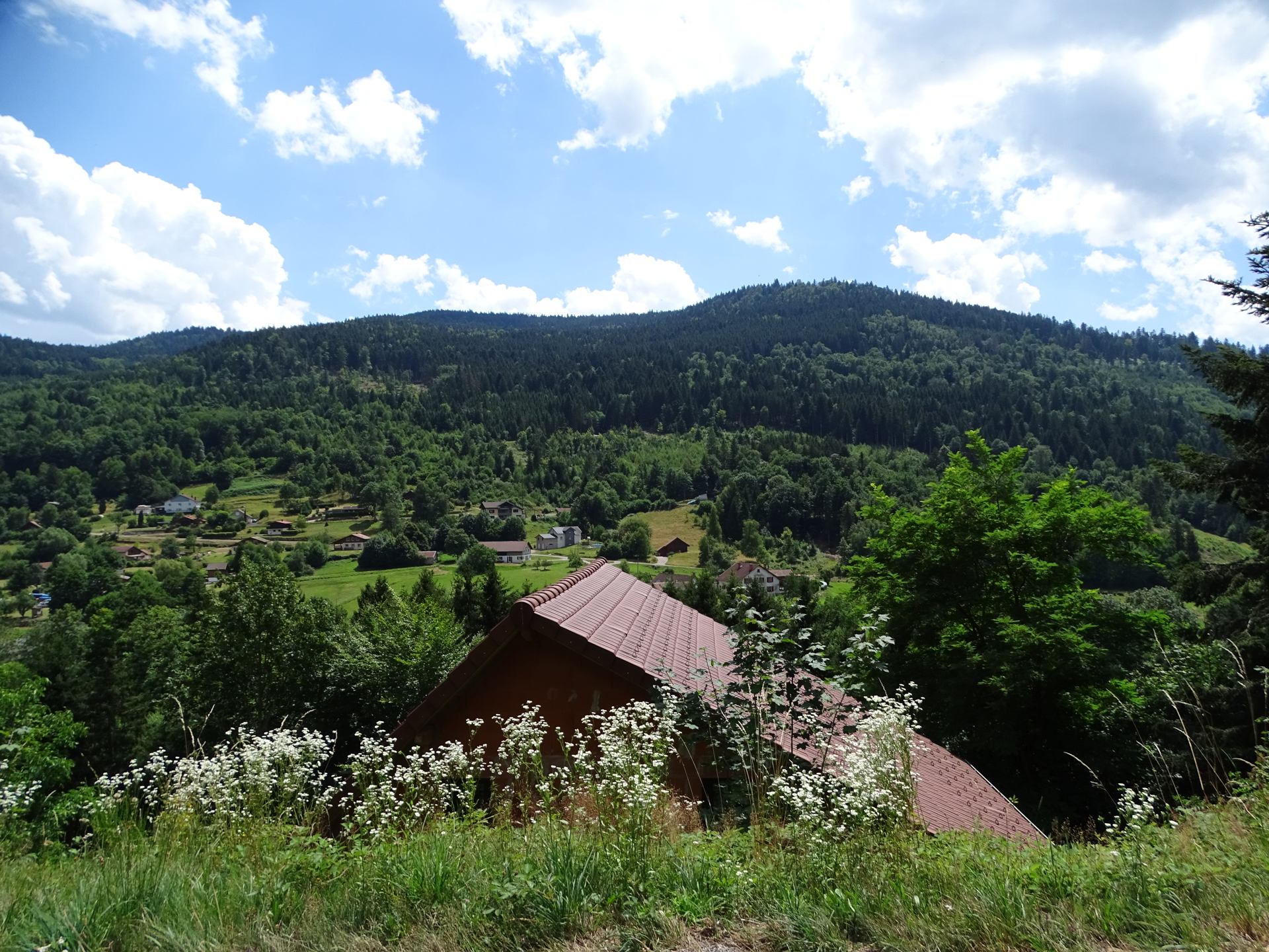 DSC09072.JPG