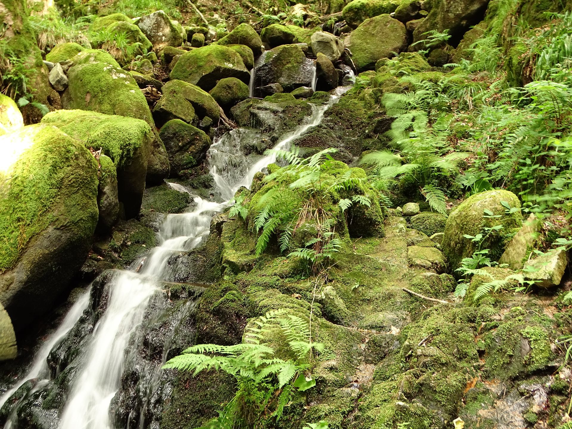 DSC09090.JPG