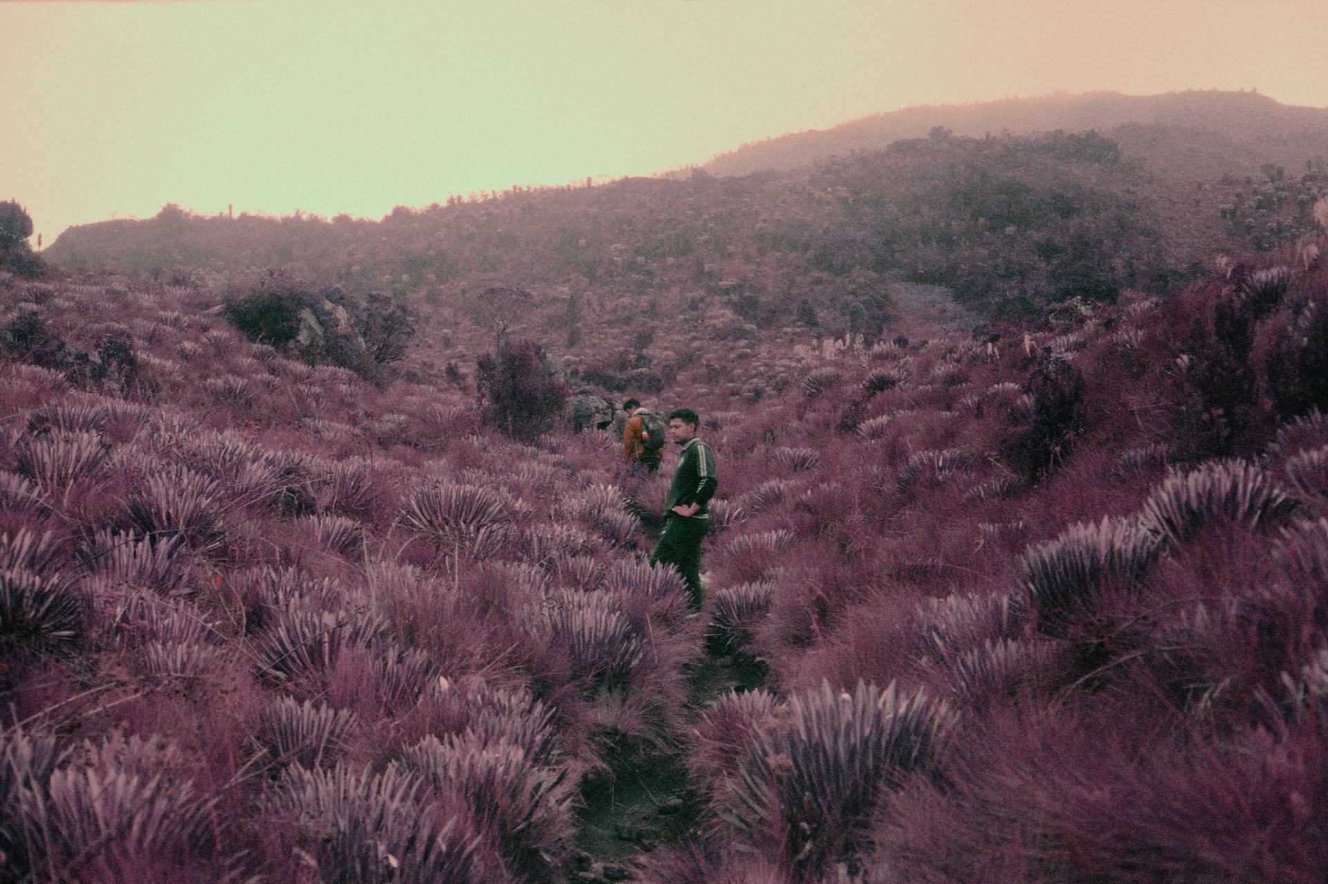 Paramo d'oceta