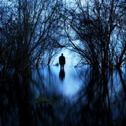 Classement final : 316