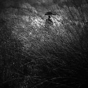 Classement final : 100