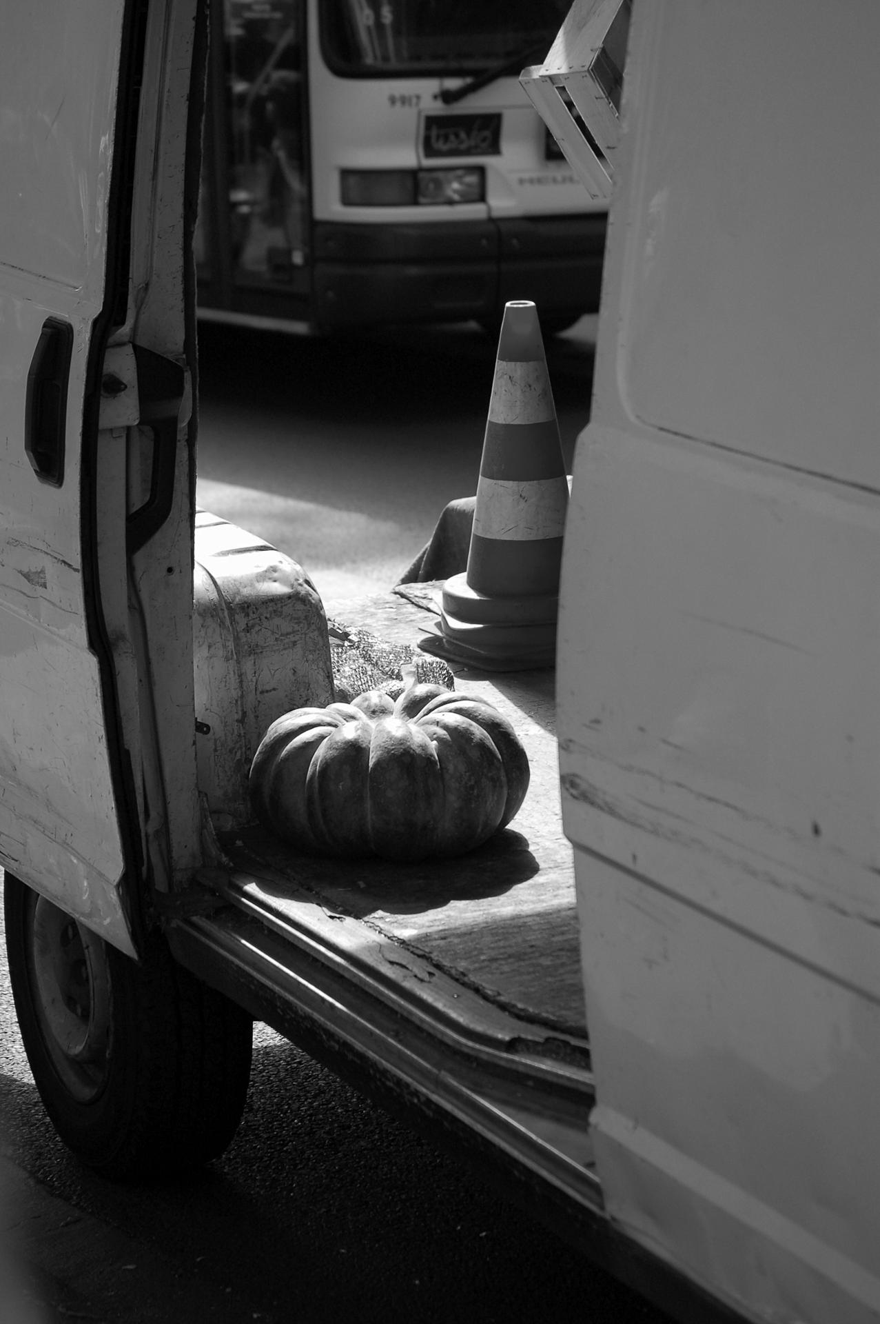 La solitaire - Toulouse France