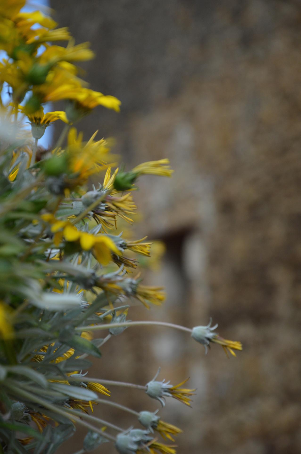DSC_0615.jpg