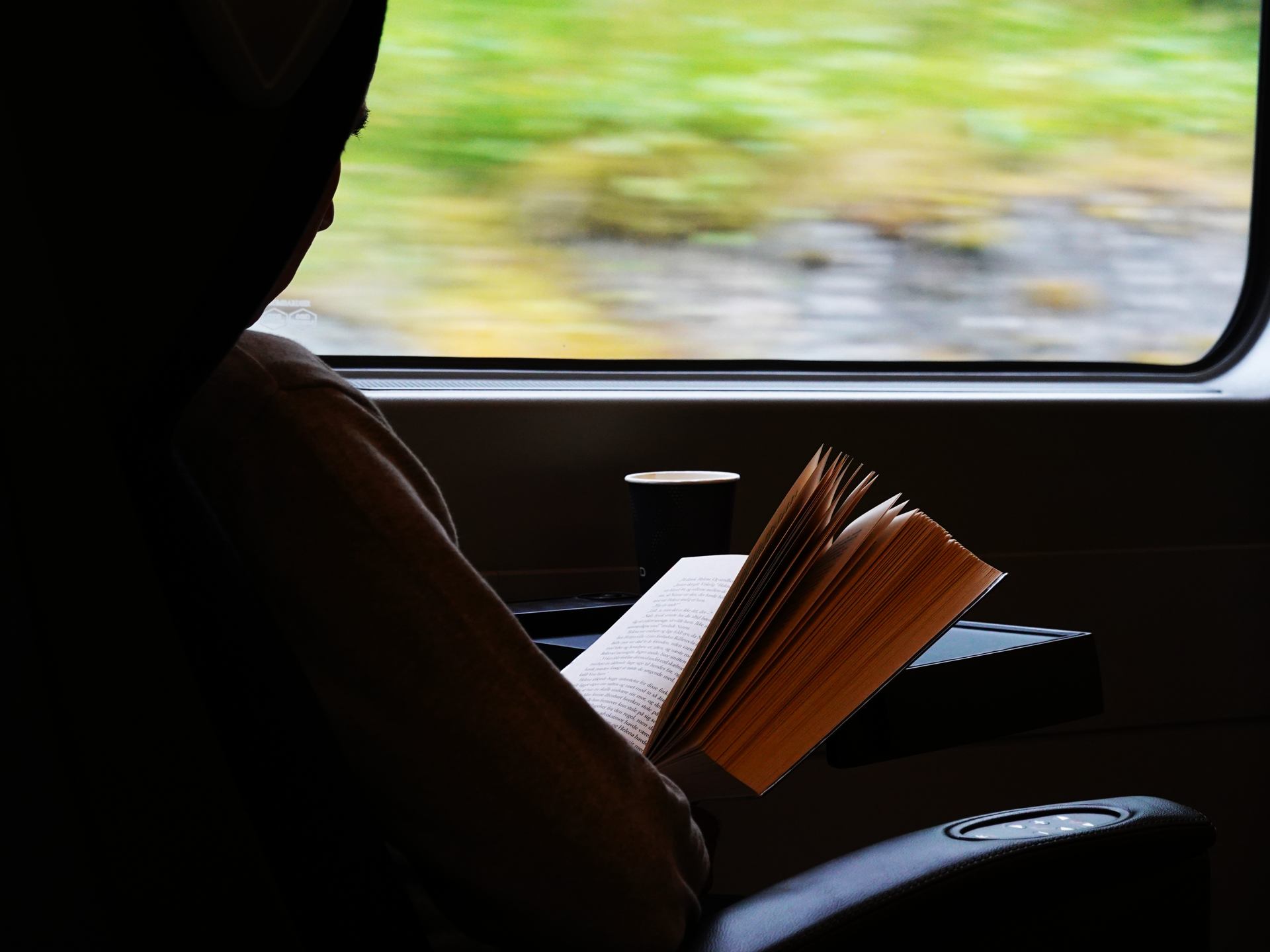 Roman de gare