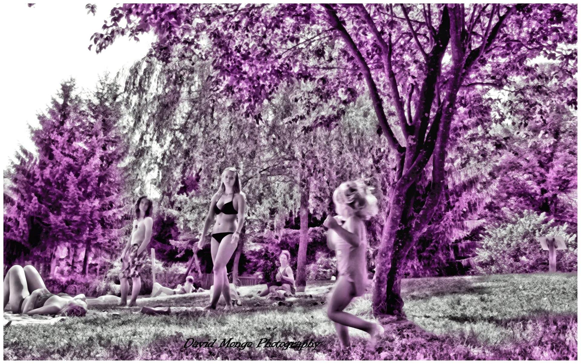 le jardin d'eden.jpg