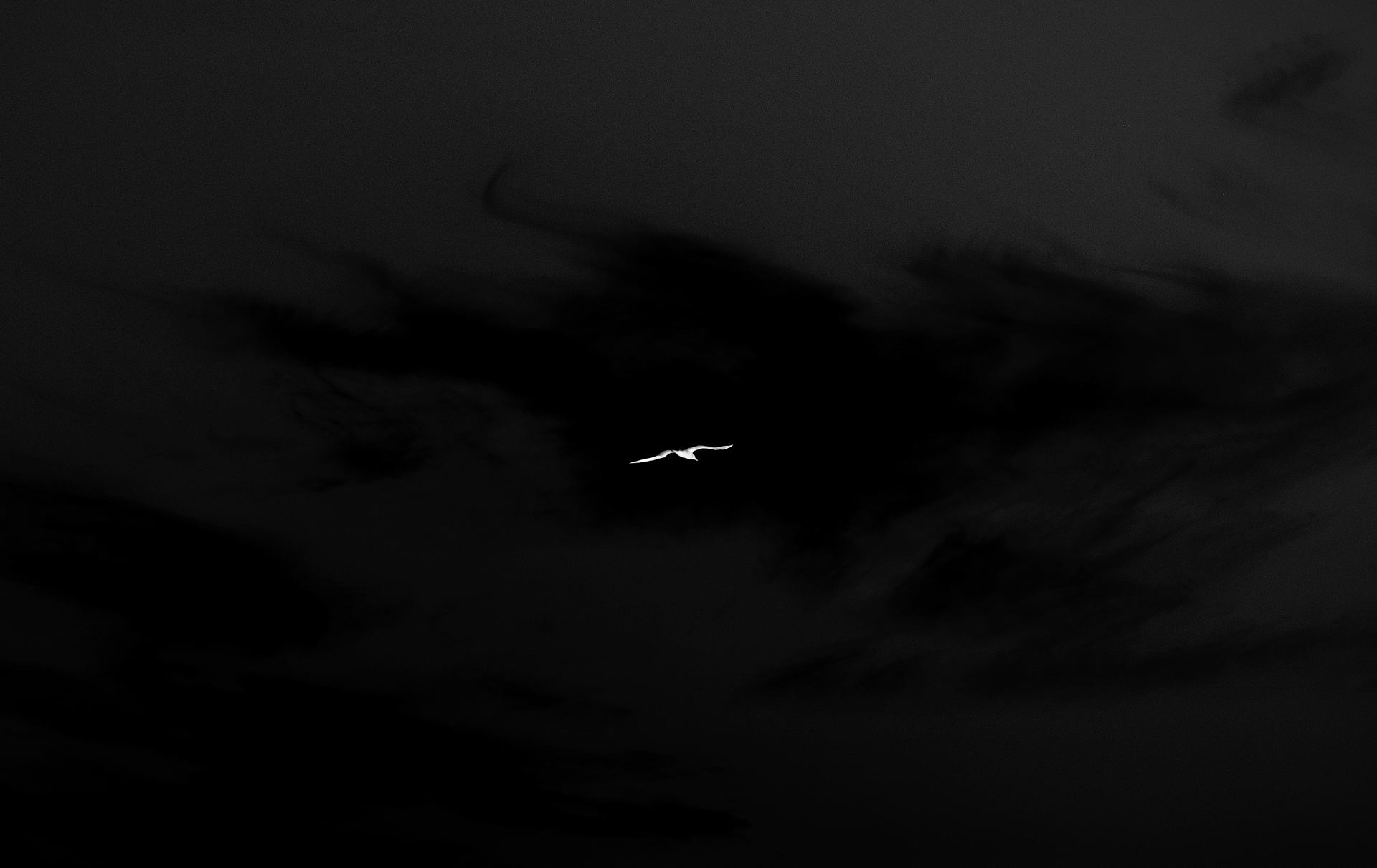 0018.jpg