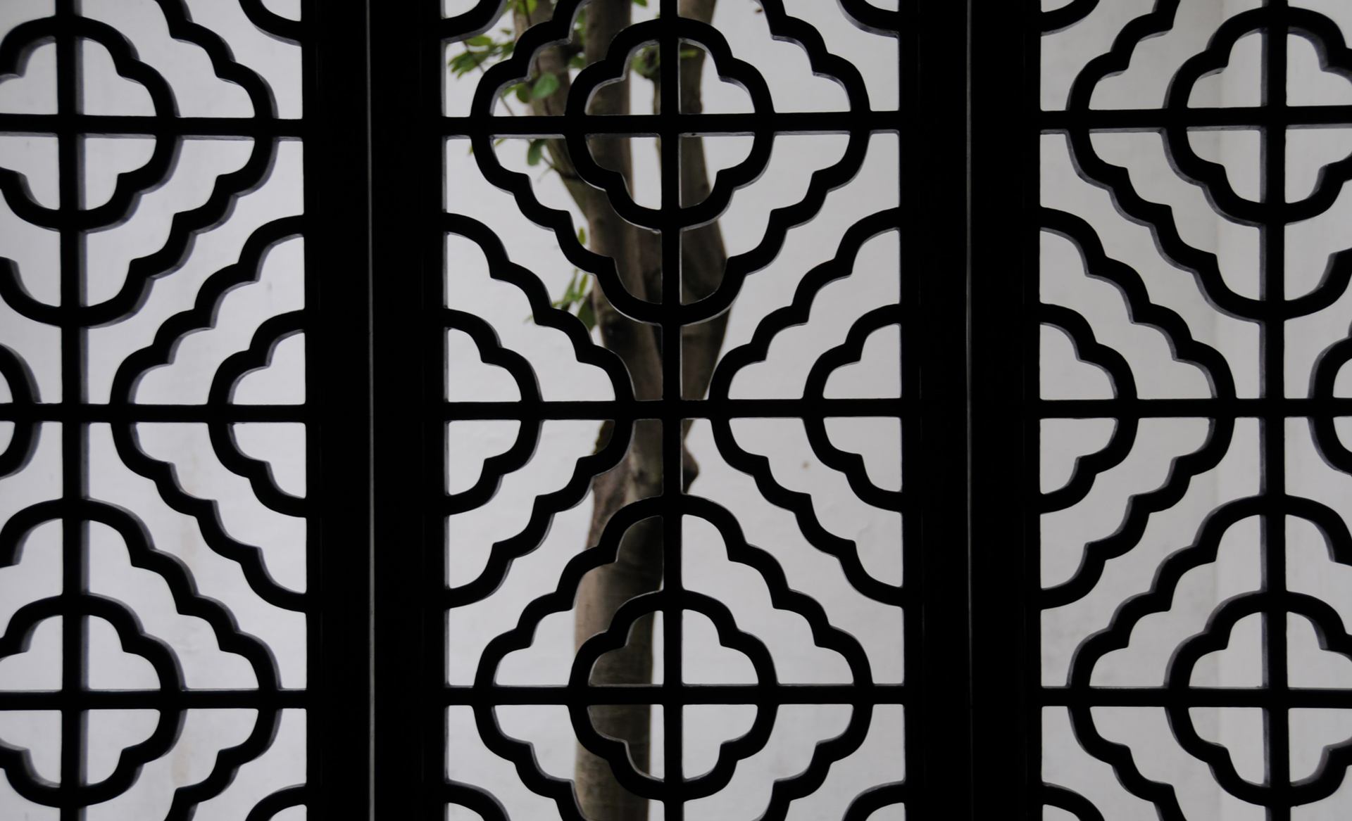 15-CLAUSTRAS EN EBENE ET FICUS.jpg