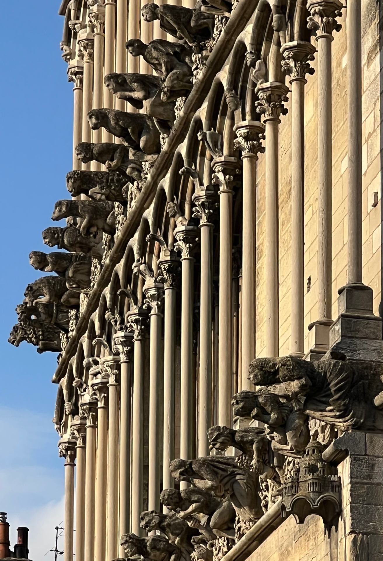 Façade église ND de Dijon.jpeg