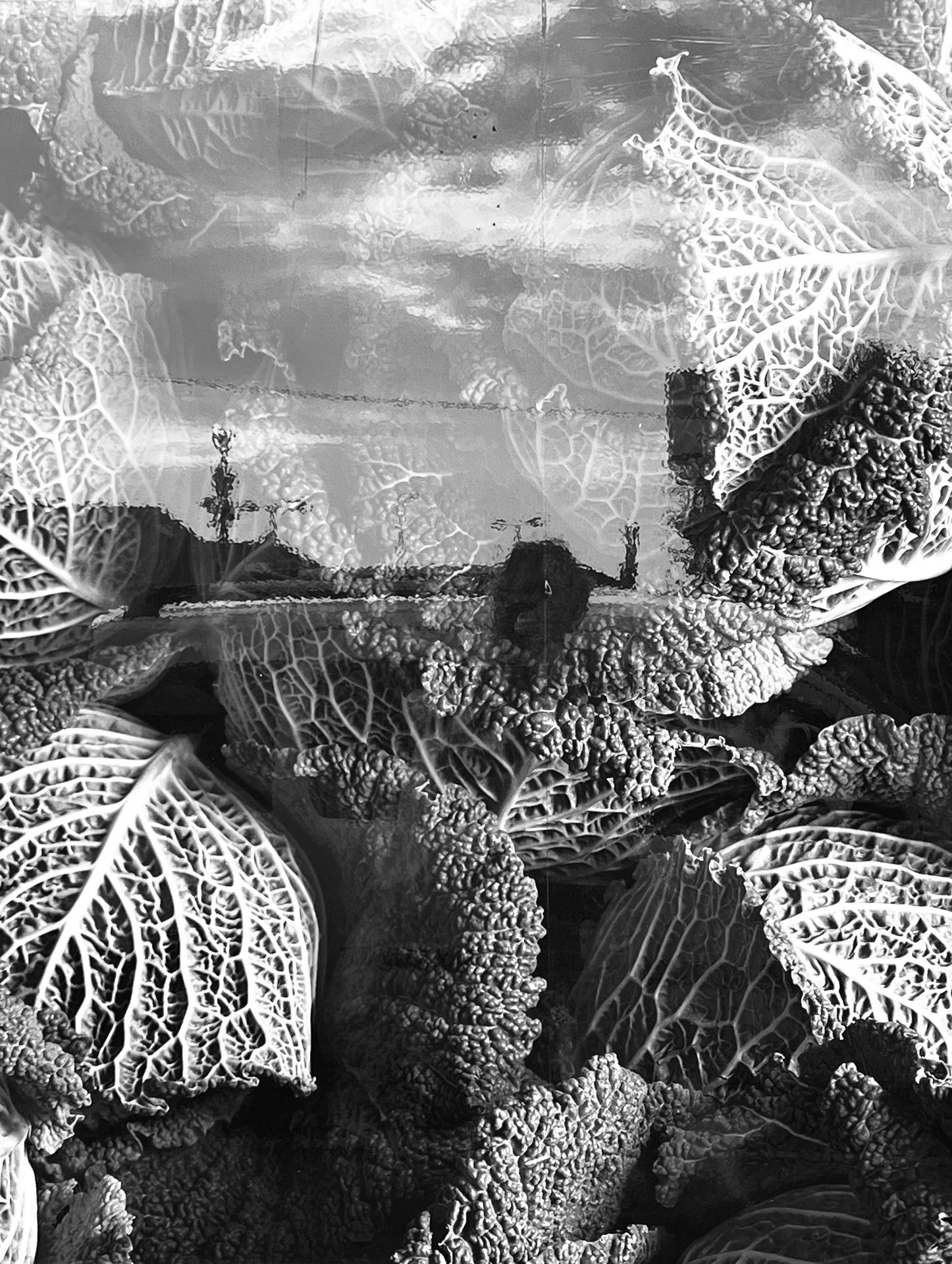 Reflet vitrine sérigraphiée Mallaig,Scotland.jpeg