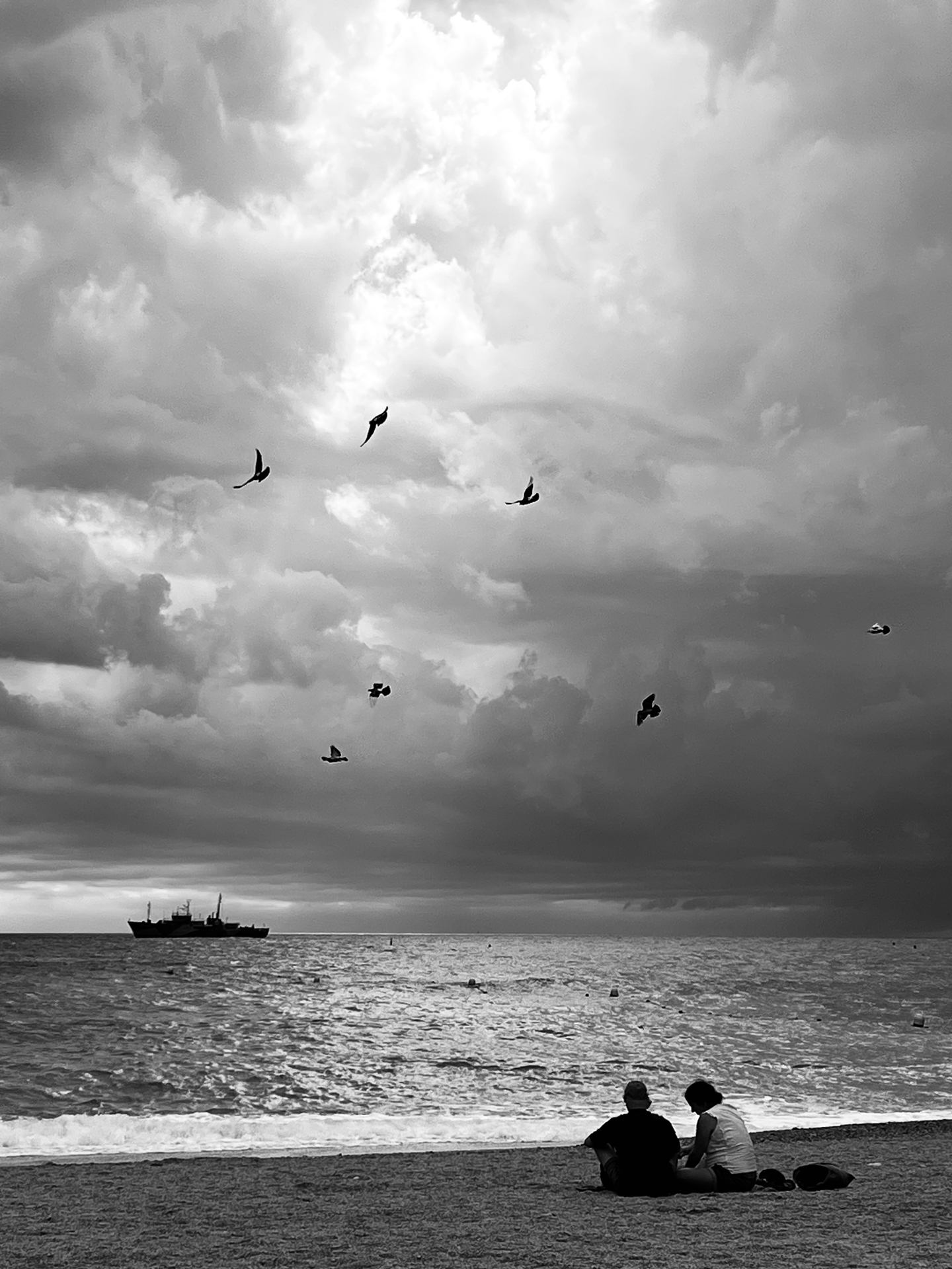 Les oiseaux-Cassis 09-25 .jpeg