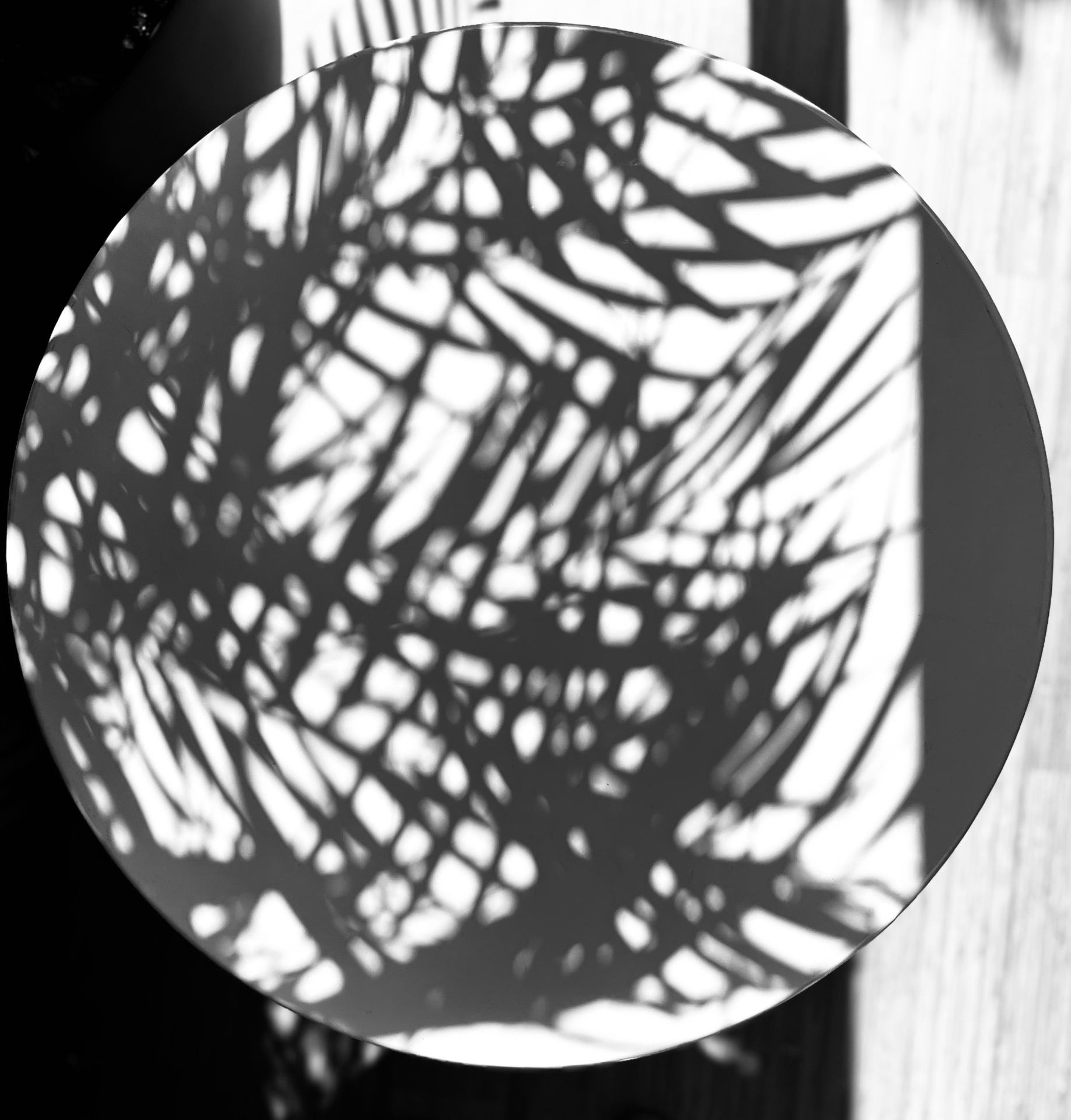 Ombres sur table.jpeg