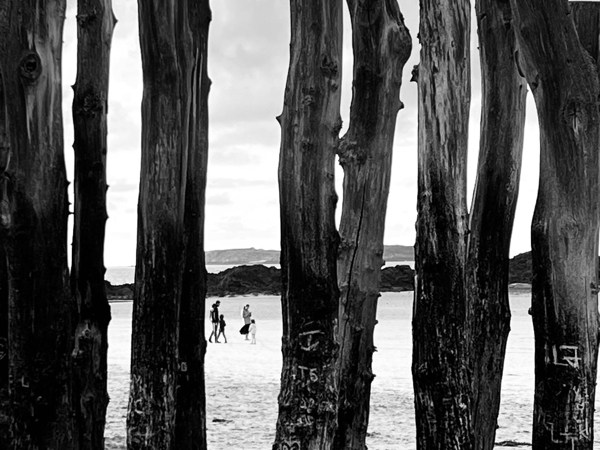 Brise lames St Malo- 09.25.jpeg