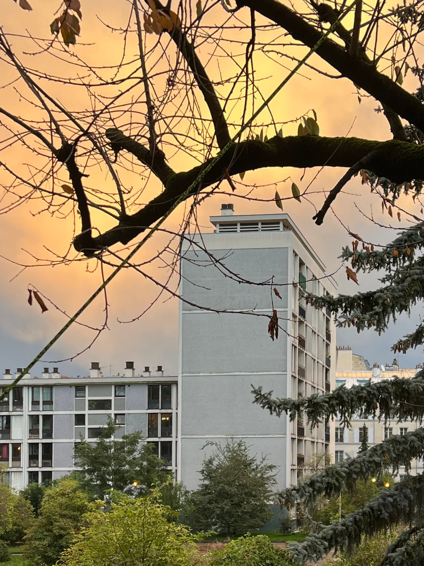 Ciel mon ciel.jpeg