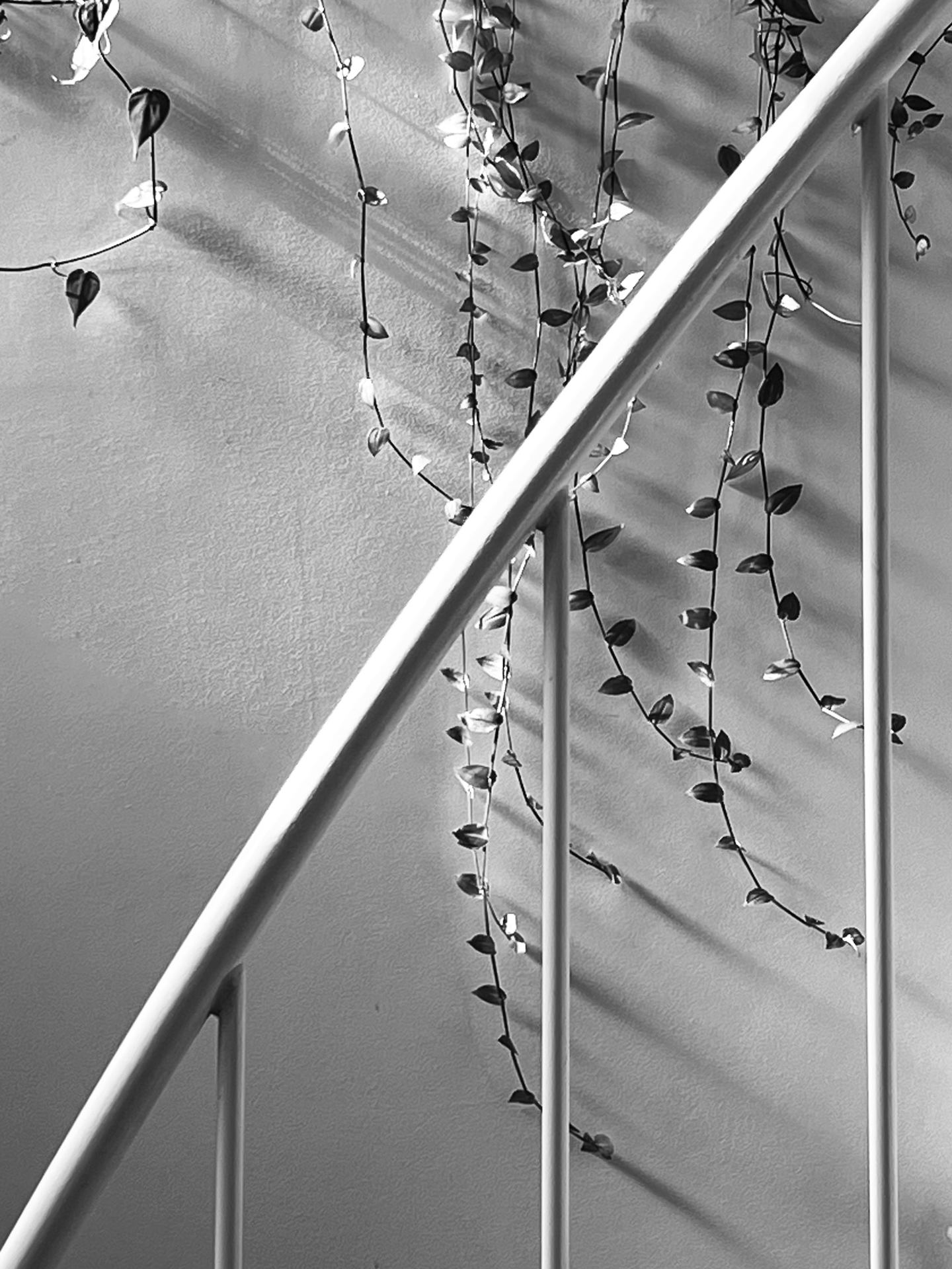 Misère et main courante. Paris,10.10.25 .jpeg