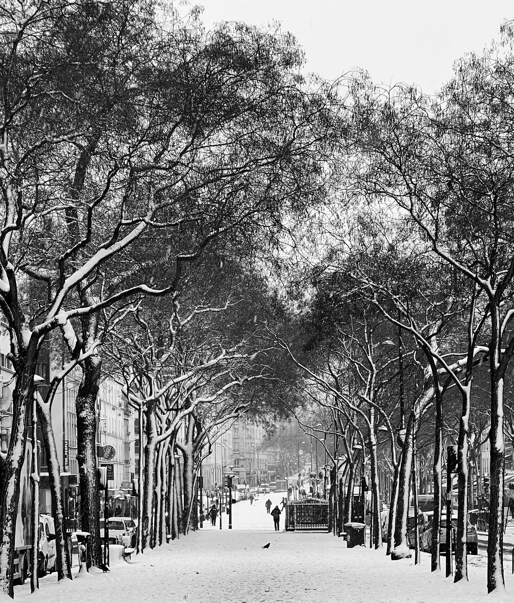 Boulevard de Belleville le 7 janvier 2026.jpeg