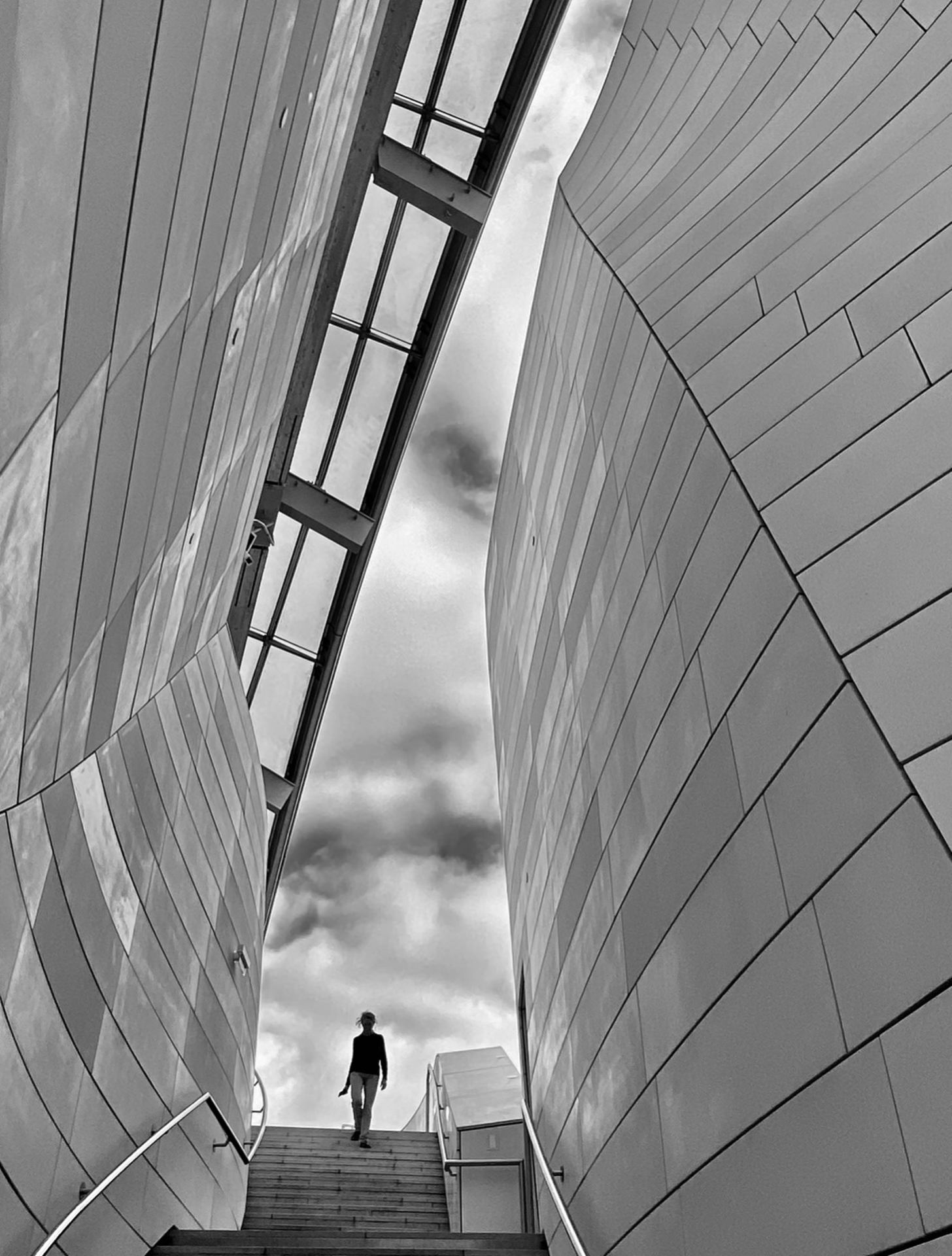 Fondation V au Bois de Boulogne (F.Gehry arch) .jpeg