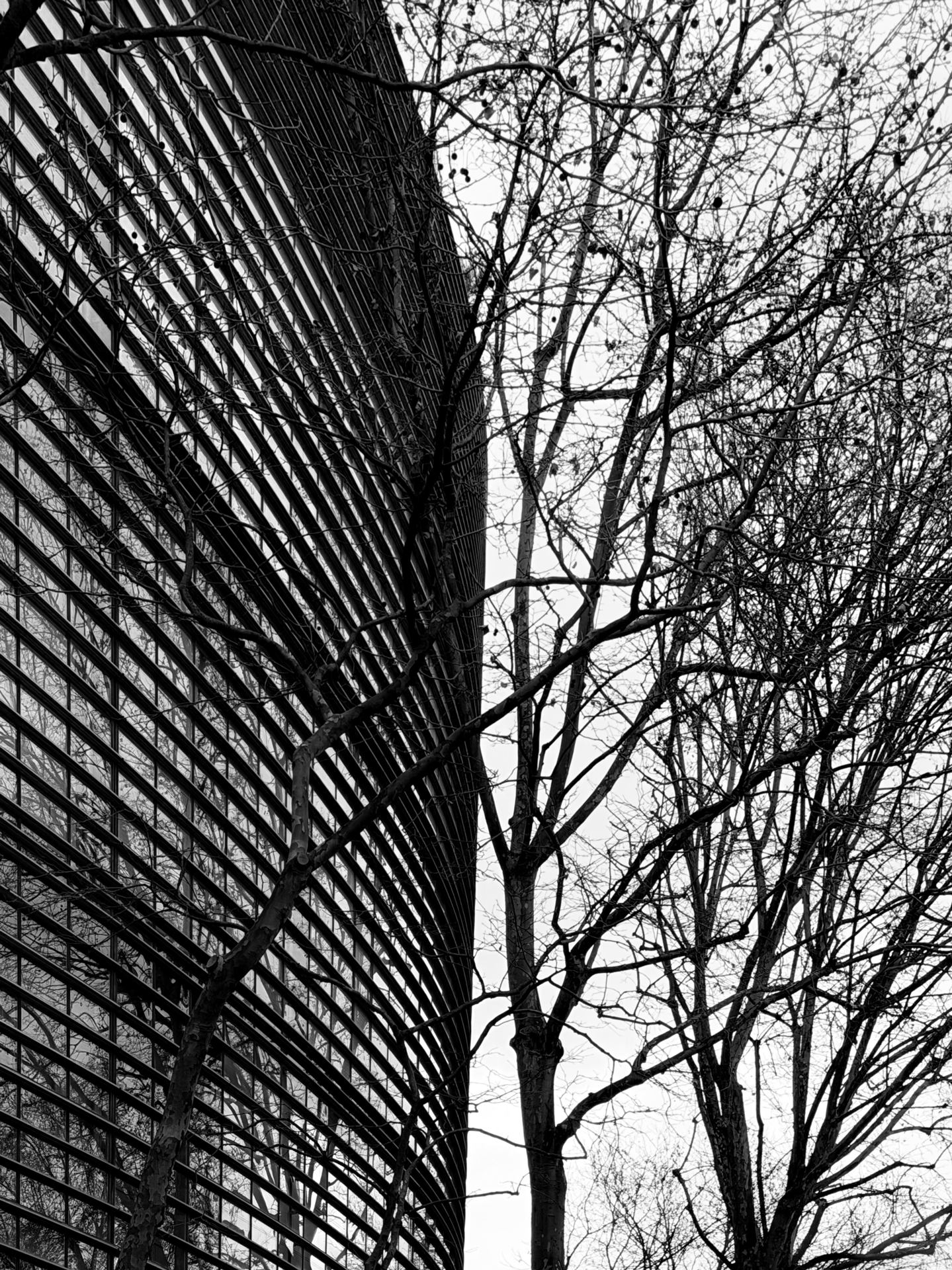 IMA ( J.Nouvel arch) .jpeg