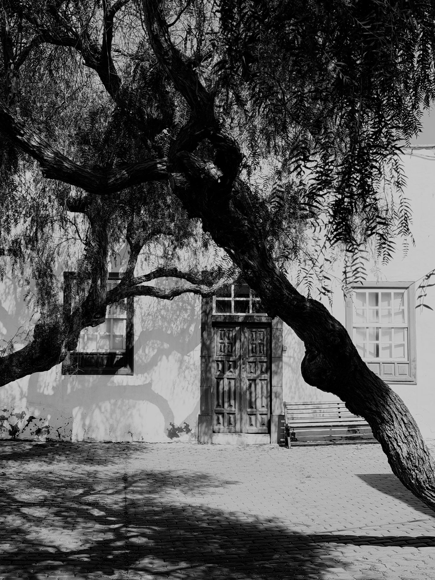 Teguise Lanzarote Canaries Espagne.jpeg