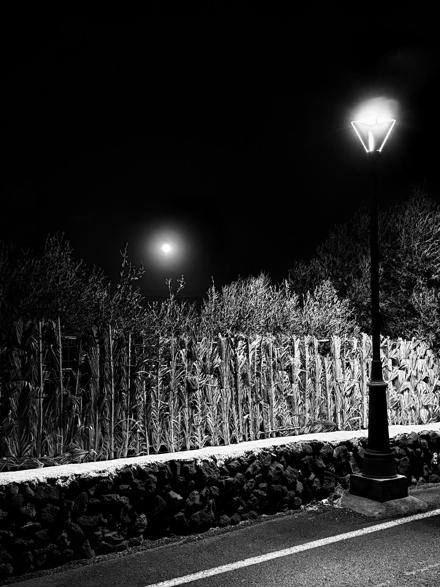 La lune et le réverbère.jpeg