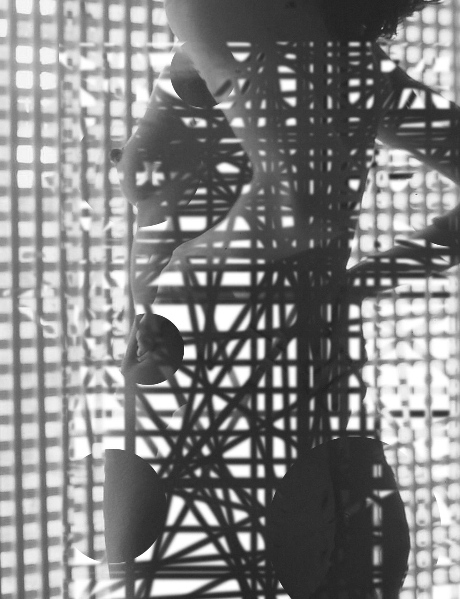 Nu au moucharabieh, Tozer.jpeg