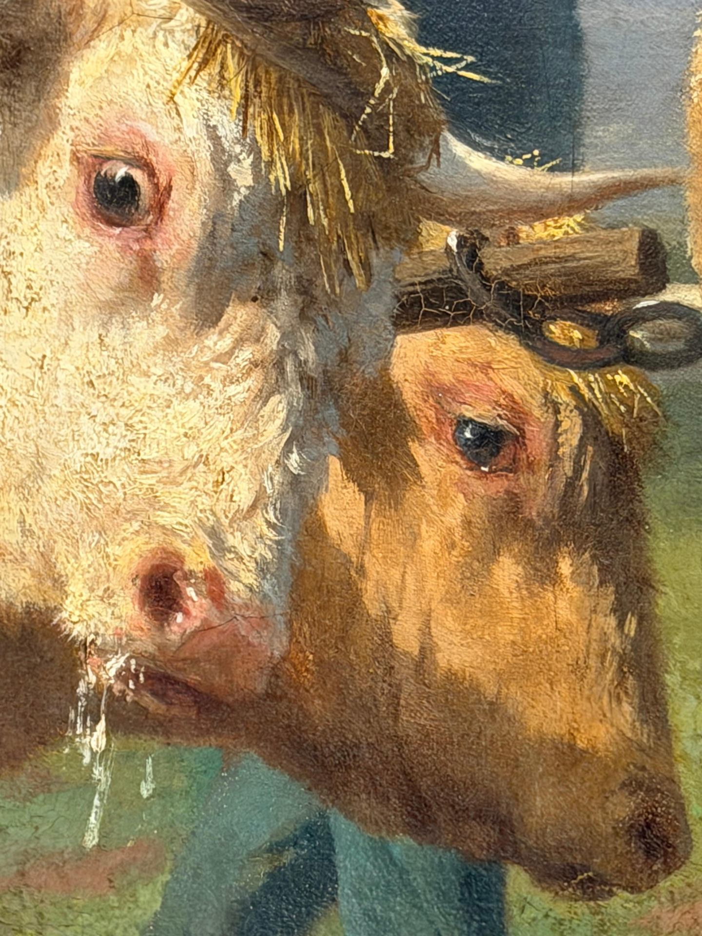 Vaches( Rosa Bonheur).jpeg
