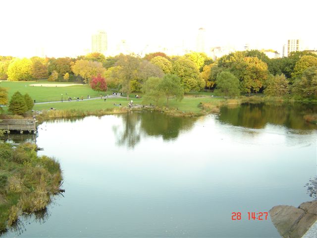 new york. (82)