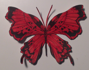 Grand papillon 