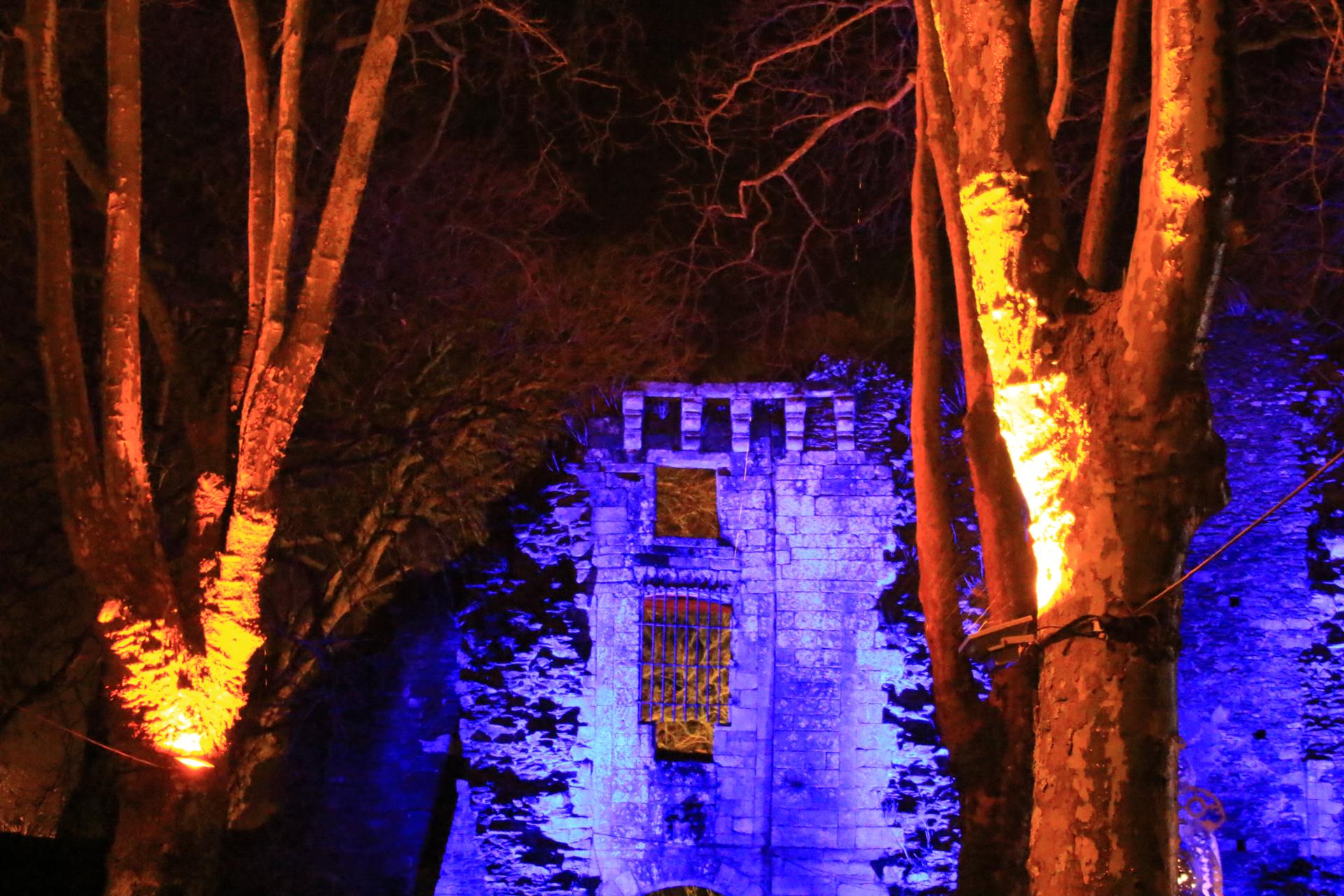 La foret Illuminée