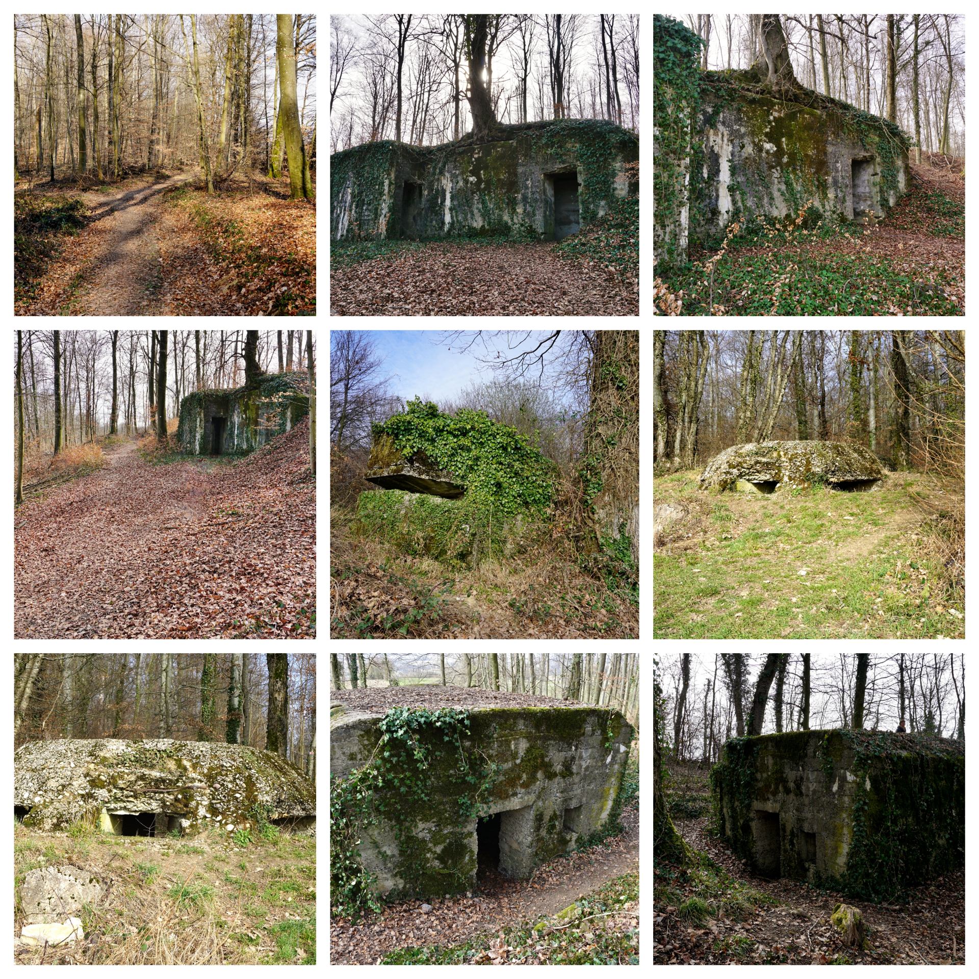 Champ de bataille de la 1ère guerre mondiale.