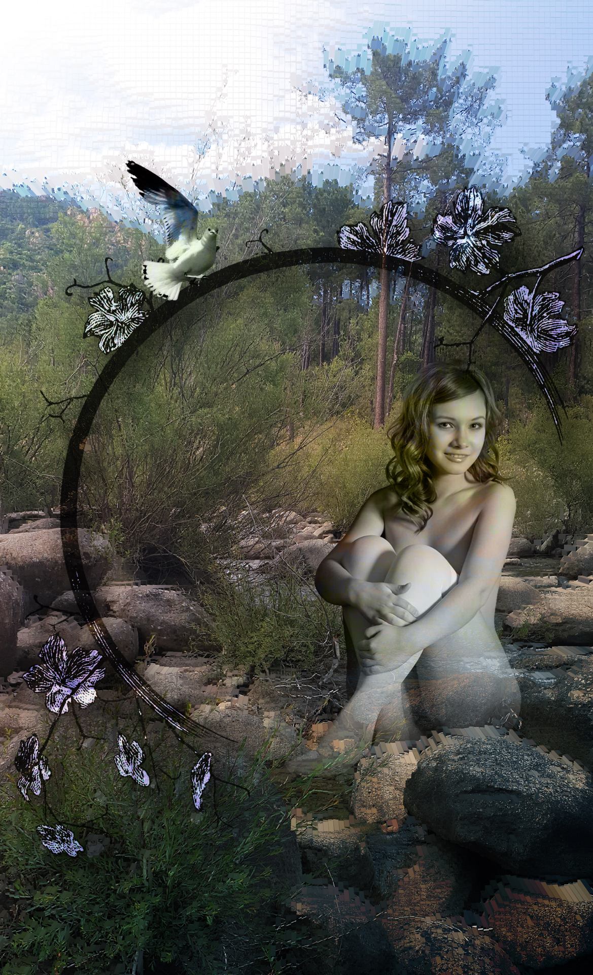 Colombe bleue