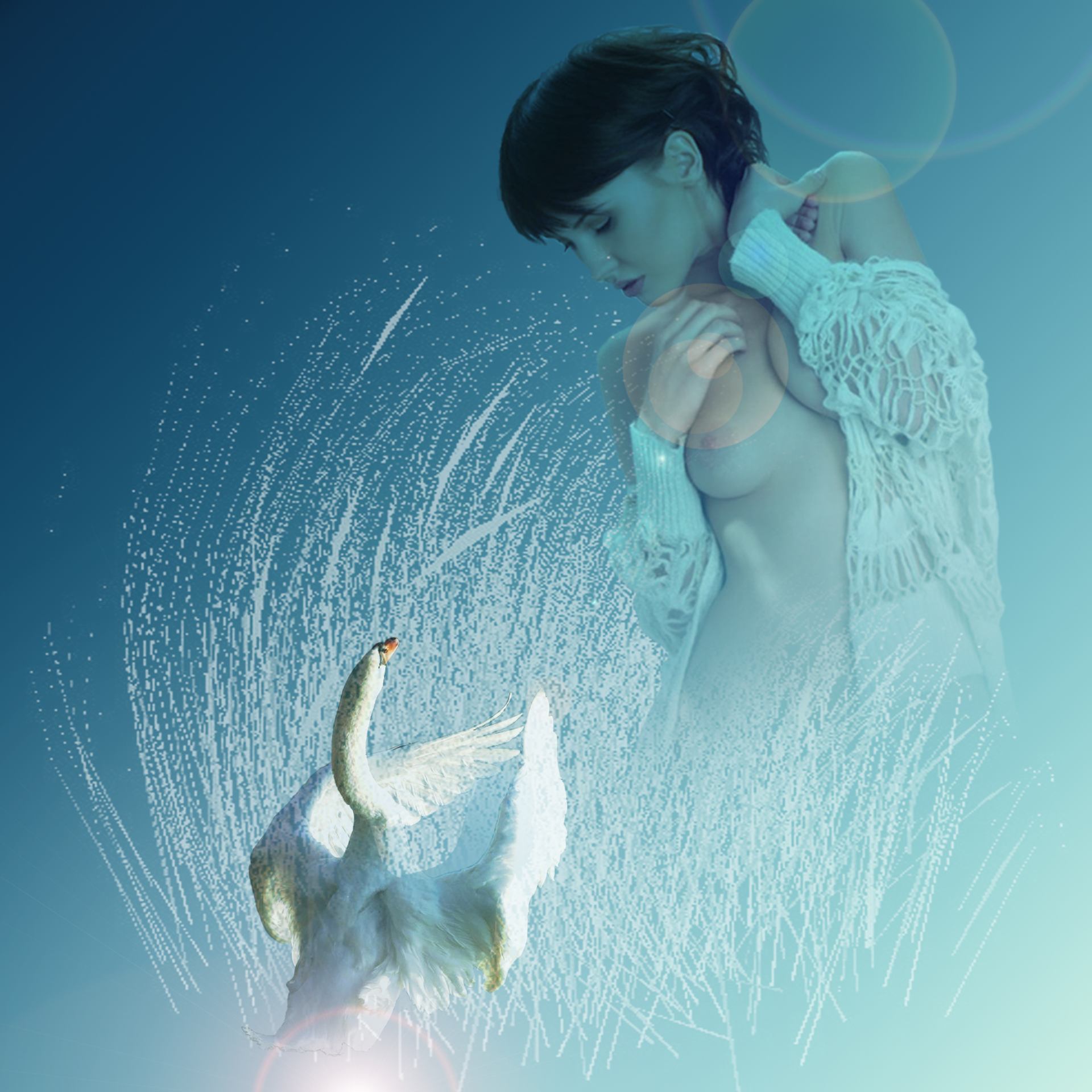 De plumes et de laine