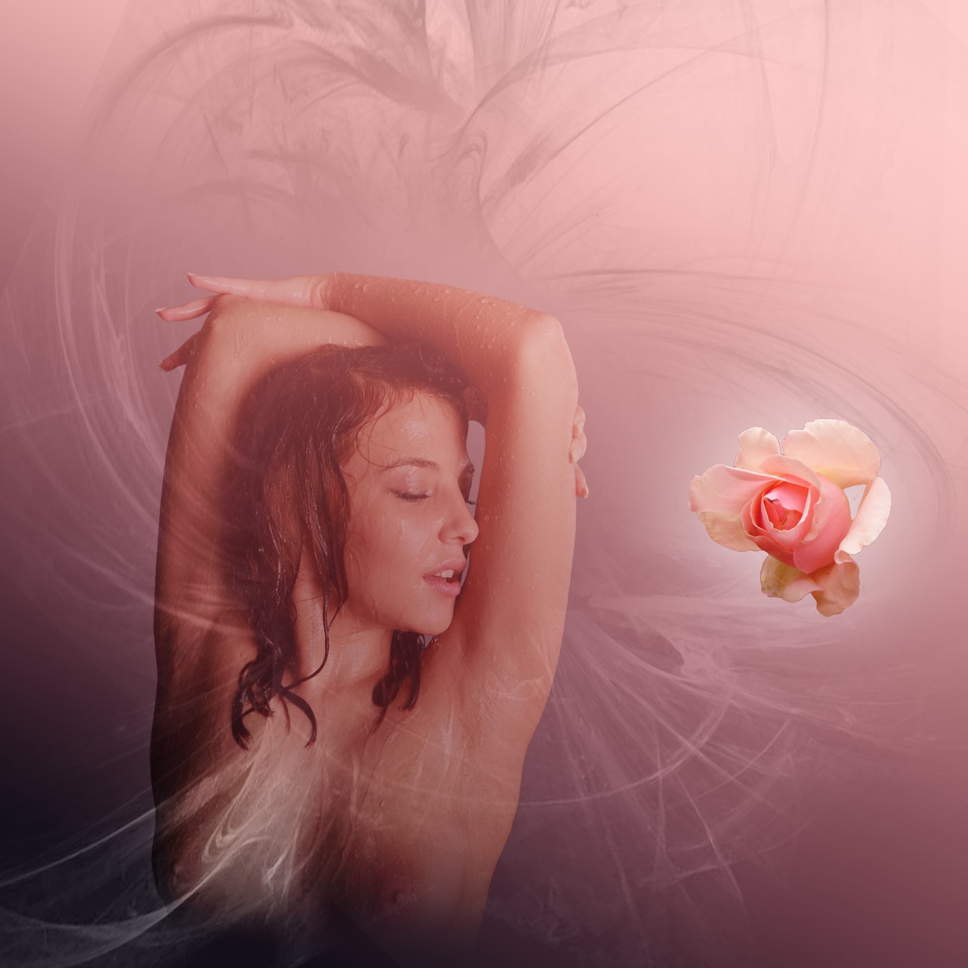 ô rose