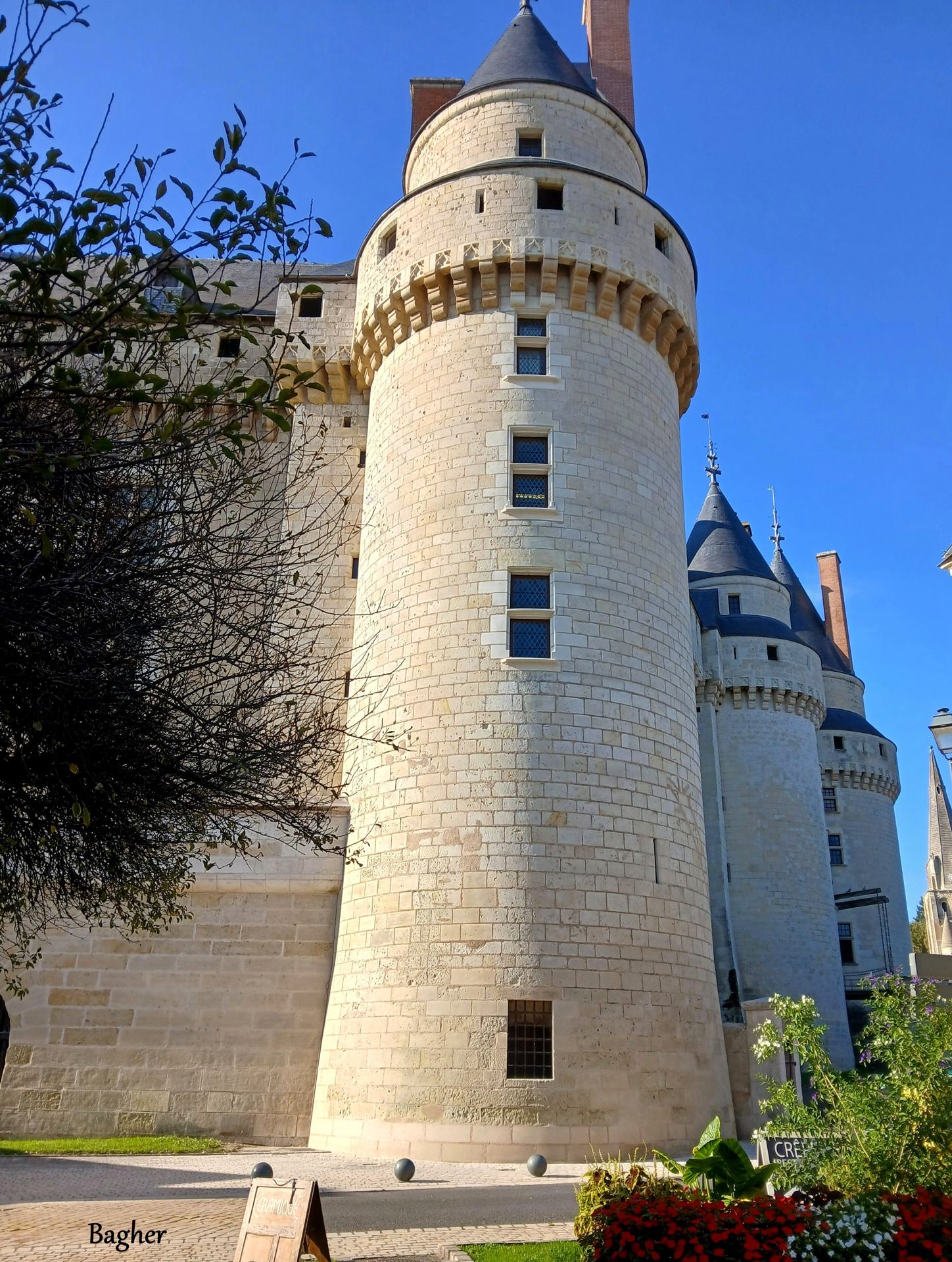 253.jpg