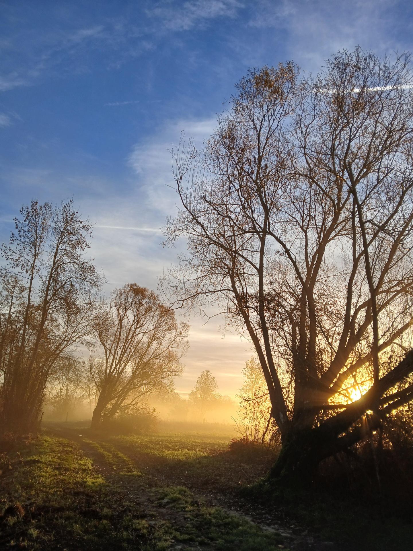 20251104_081119 (3).jpg