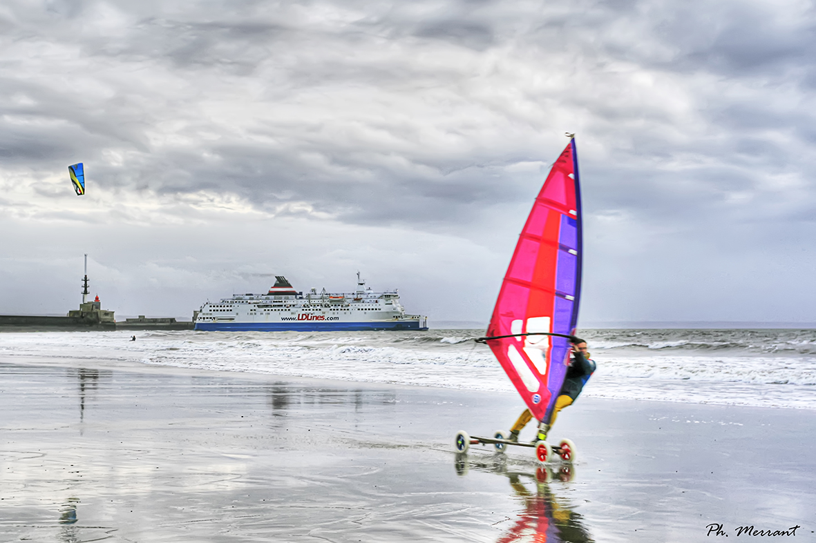 1-toutes voiles dehors (30X45)
