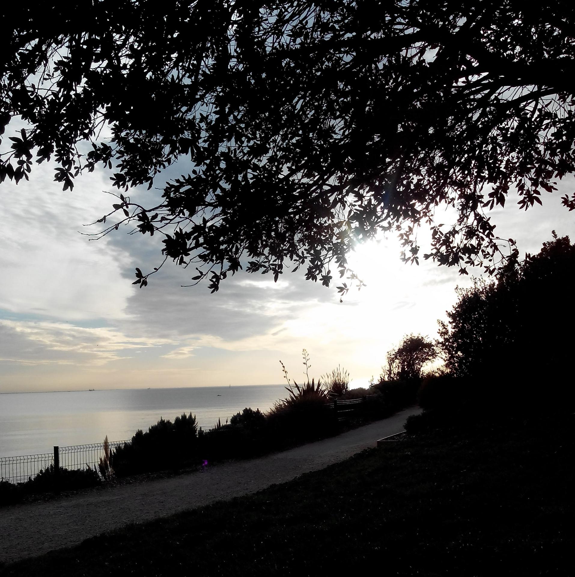 sur le chemin de mon rêve.......