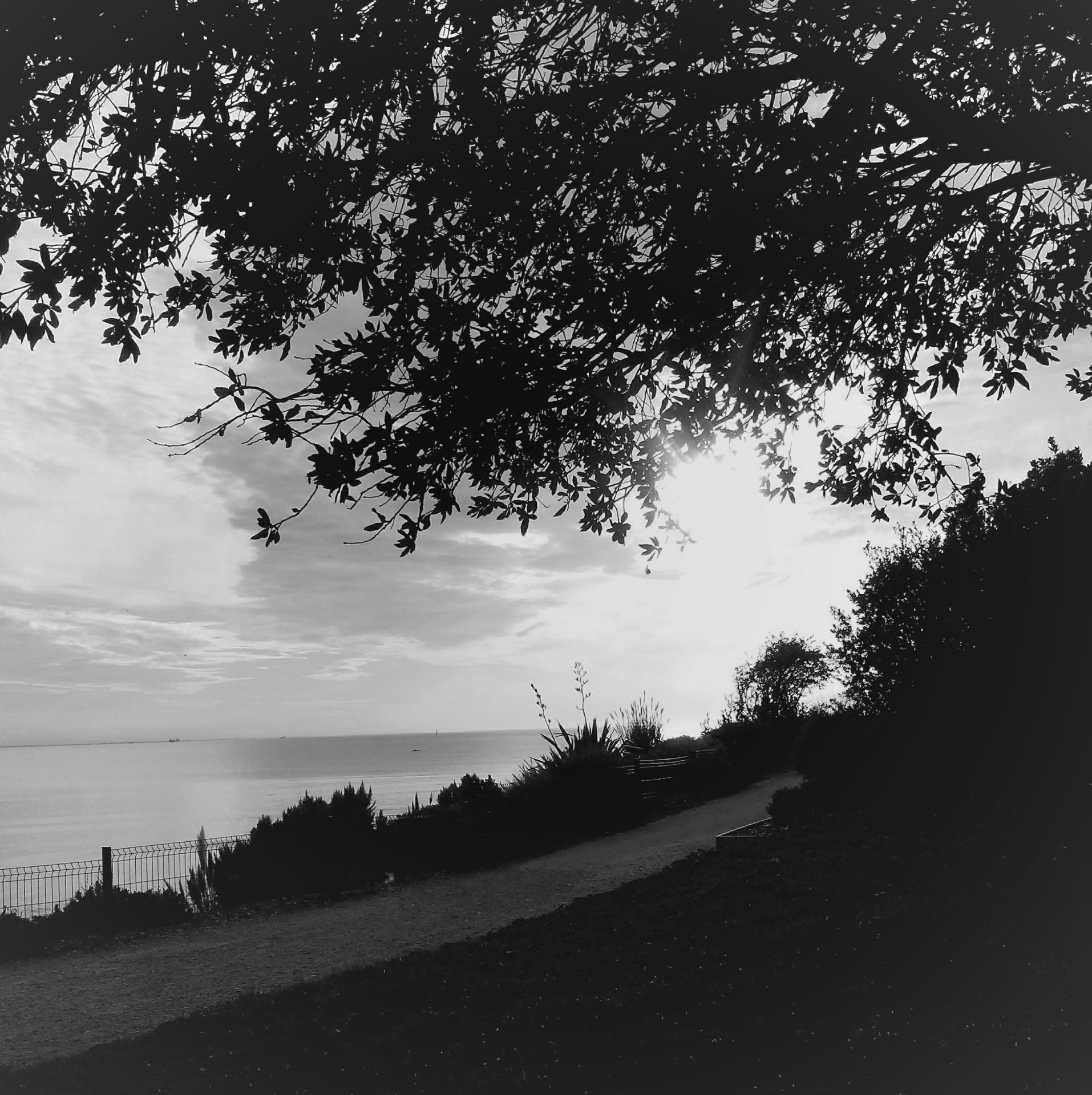 sur le chemin de mon rêve.......