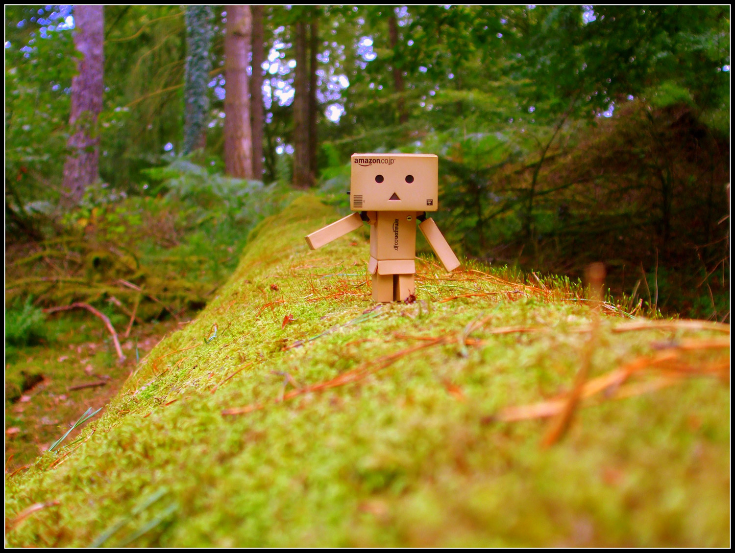 Danbo équilibriste