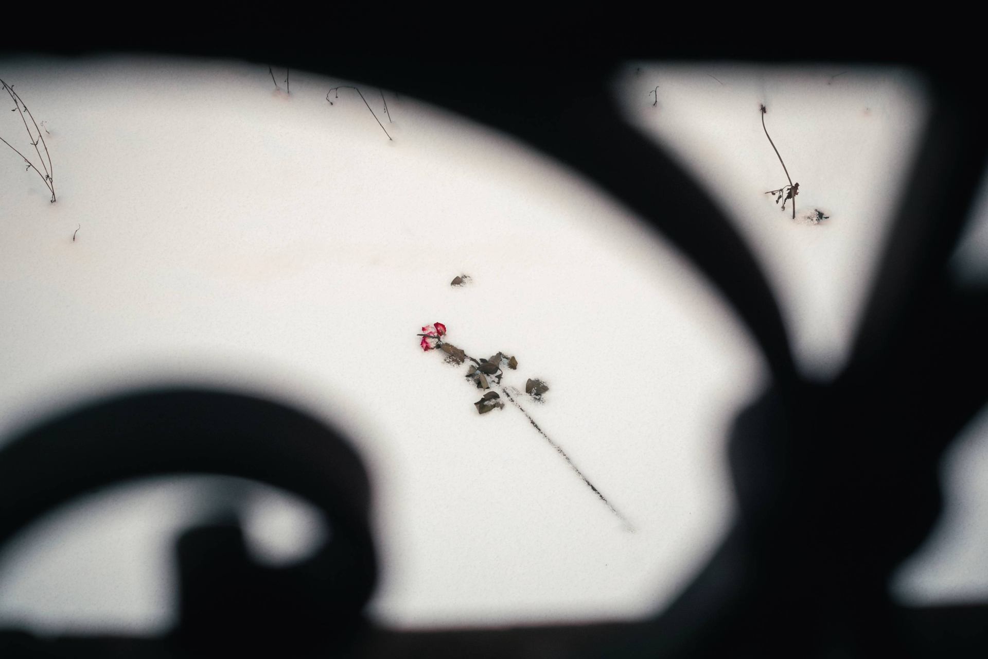 Belfort, France 2026