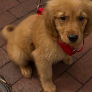 Classement final : 3341