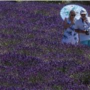 Classement final : 1767