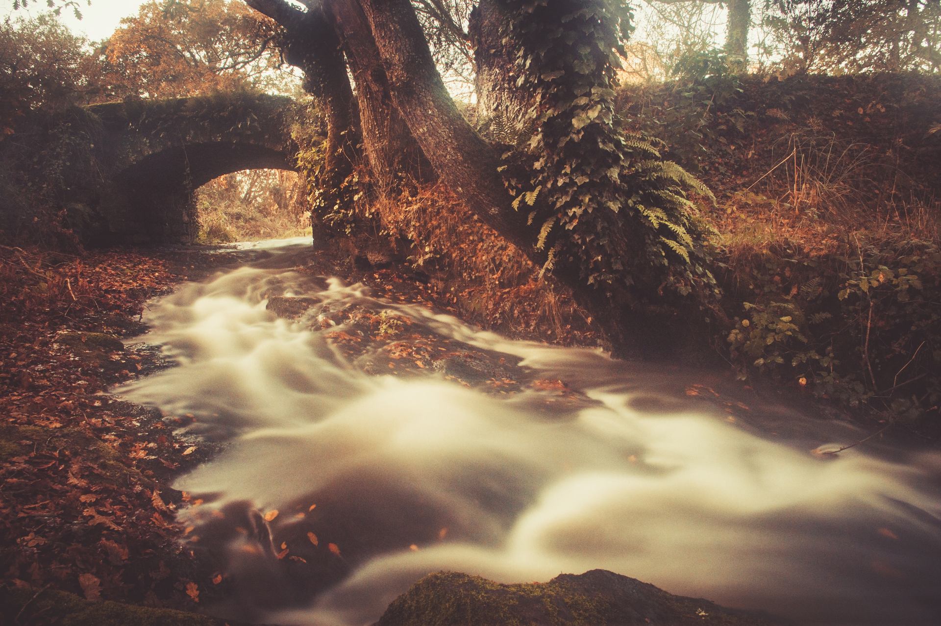 Naissance d'une rivière