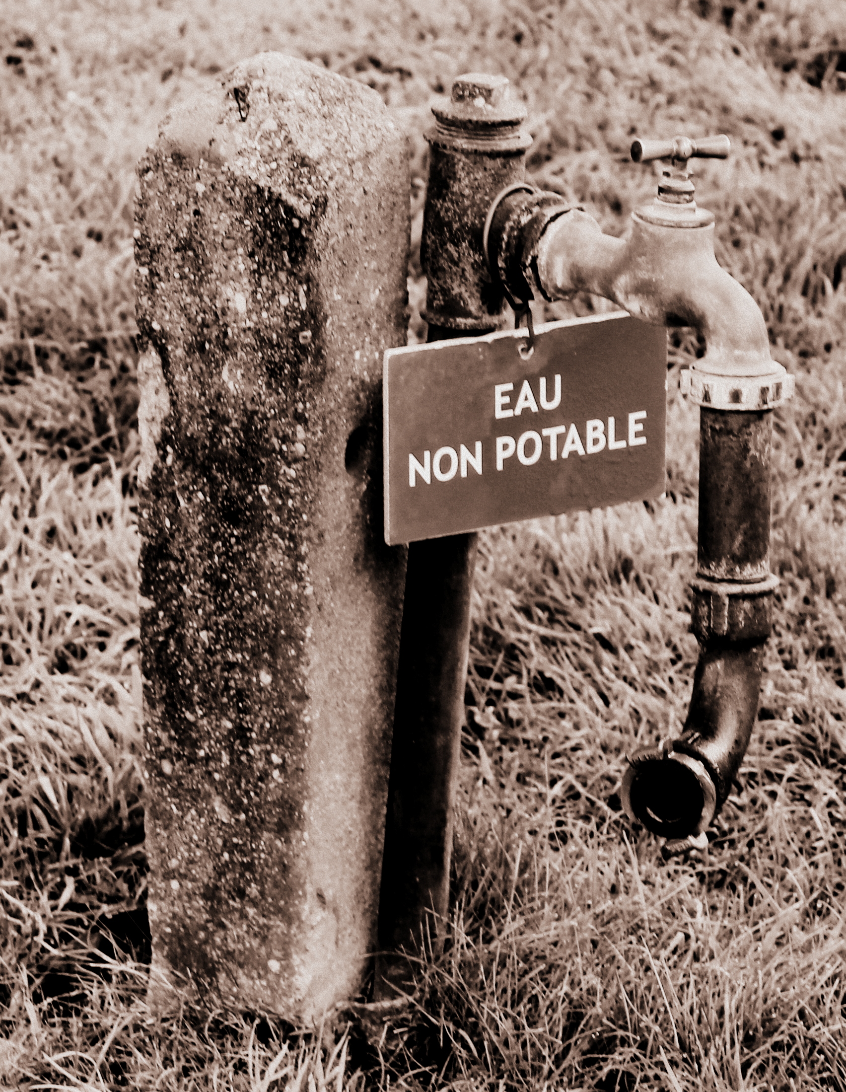 Sans titre