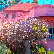 Classement final : 987