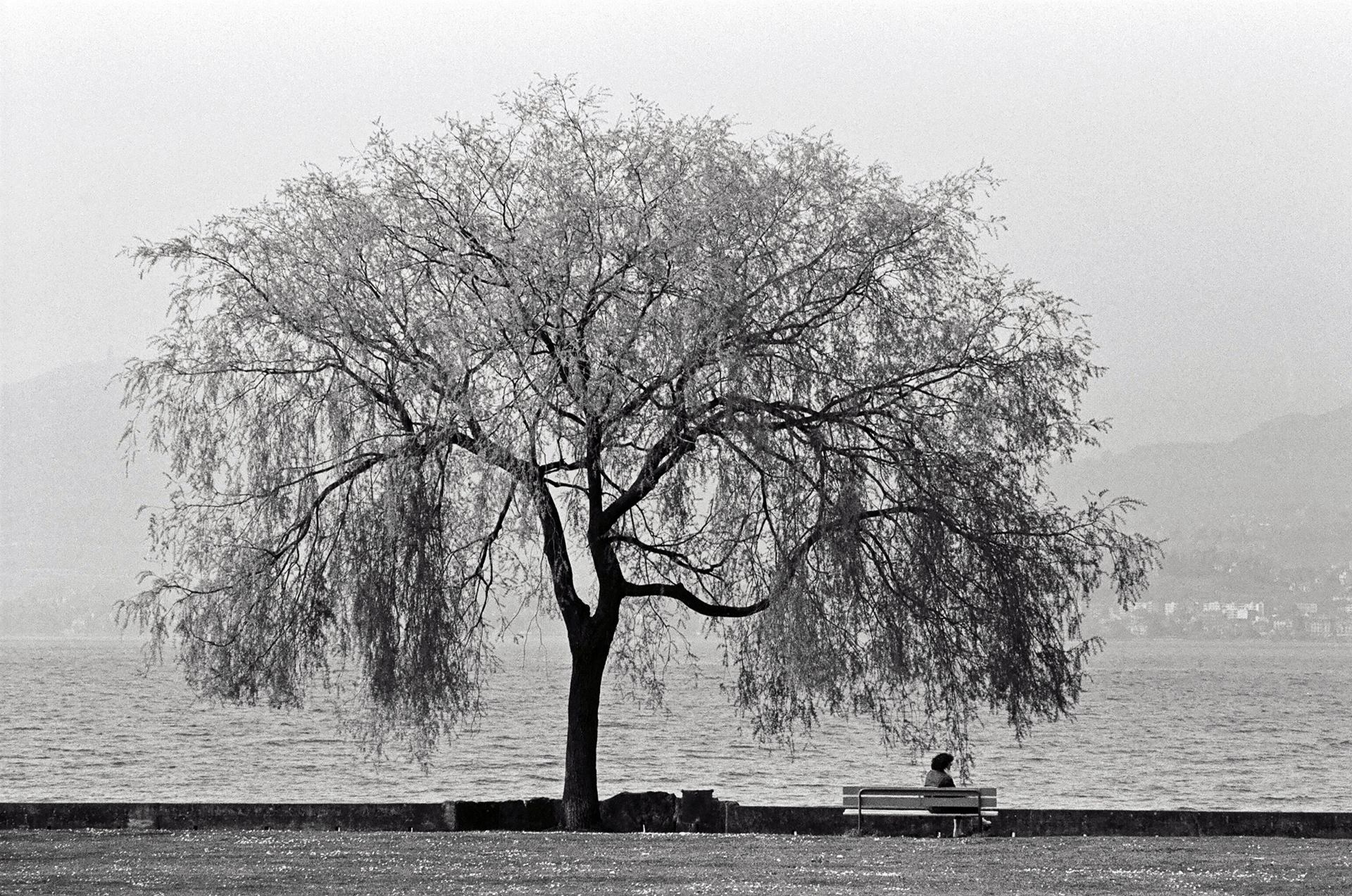 au bord de l'eau