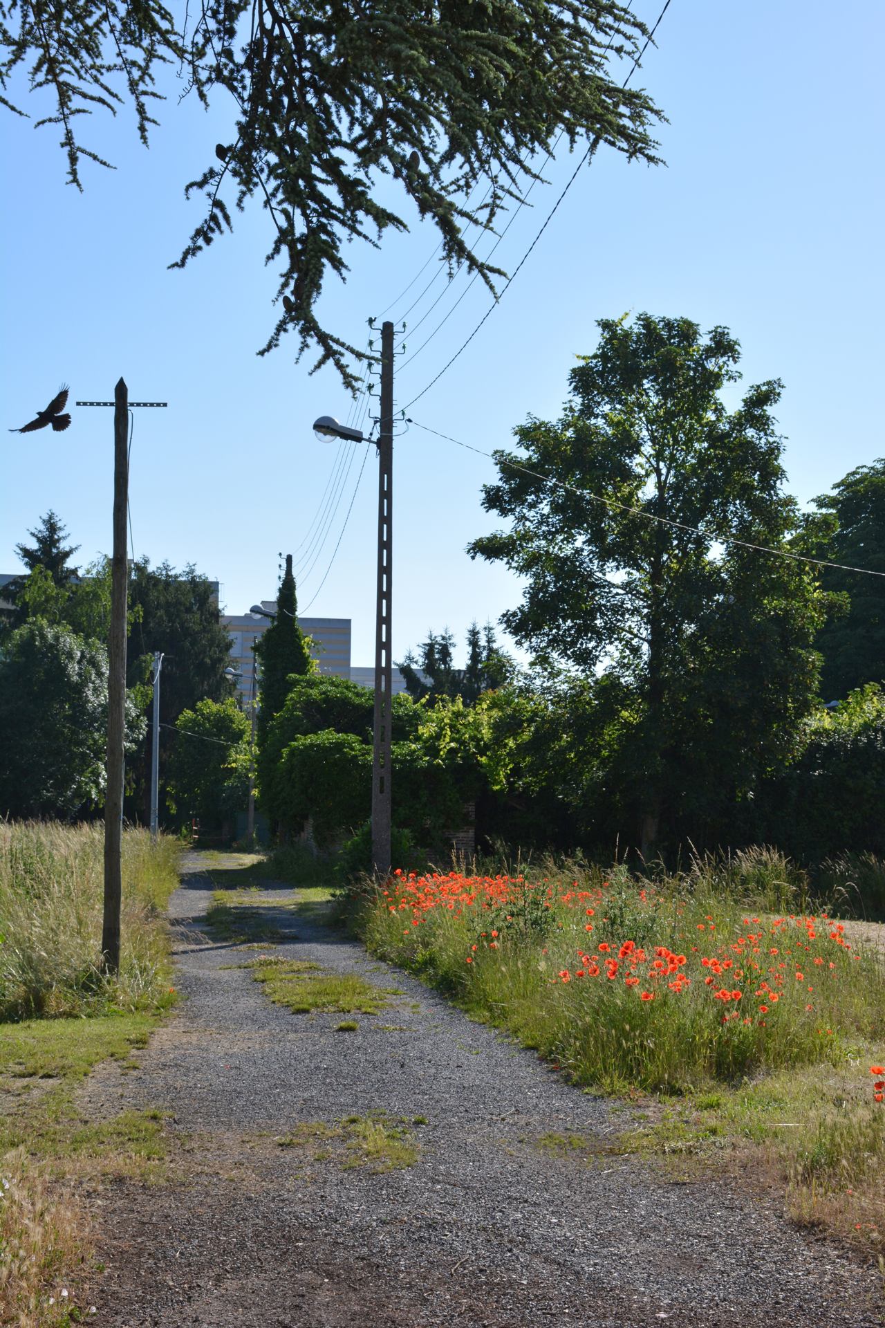 ECOQUARTIER DES TAUXELLES