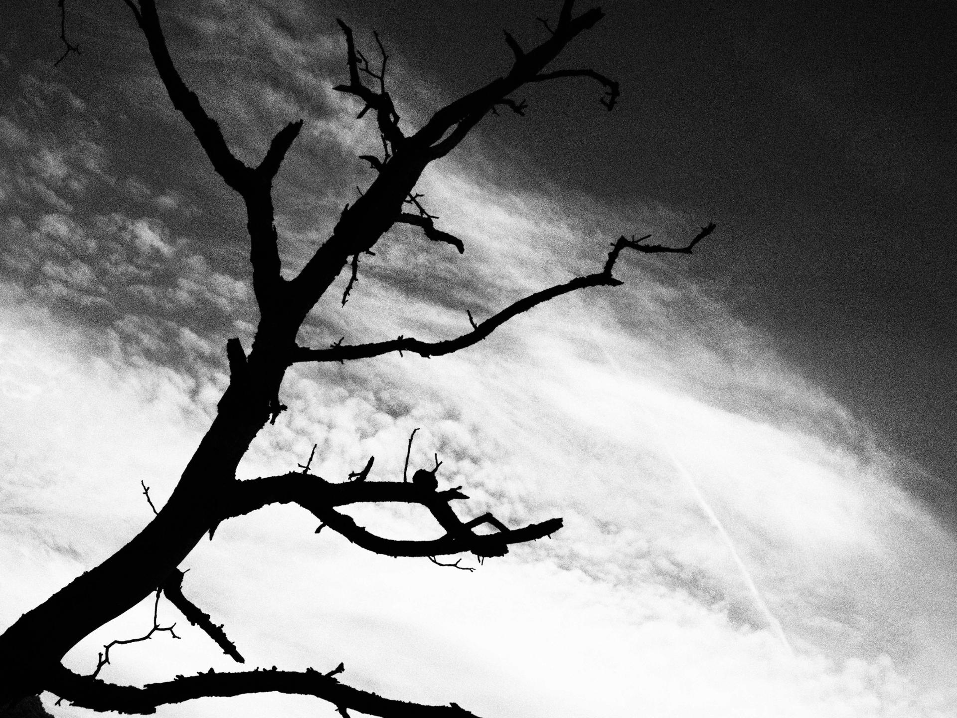 Solitude hivernal